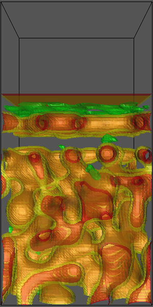 PVDF-DMF-water immersion precipitation simulation